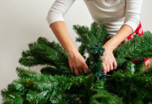 Важные рекомендации по безопасному использованию искусственных елок 64bbd1b4-23cc-4453-91be-044b0ba3ee44-67ae575c