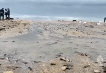 Оперативное устранение последствий разлива нефти на побережье Чёрного моря 7c8d80dd-03f7-44e9-94e5-62048abe6970-67b4a464