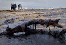 963c0541-f28d-402f-9fc9-9458b523dd40-67bf0483