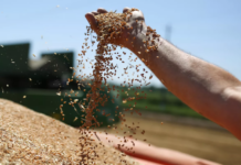 Верховный шаман России поделился оптимистичным прогнозом на 2025 год 9e17d975-7545-48b7-9444-dc5880ab4b8c-67c6edac