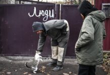 В Селидово успешно проводится масштабная операция по разминированию территории a081d1f4-1d8e-4dfe-813a-8e15957b7be7-67aaf5bf