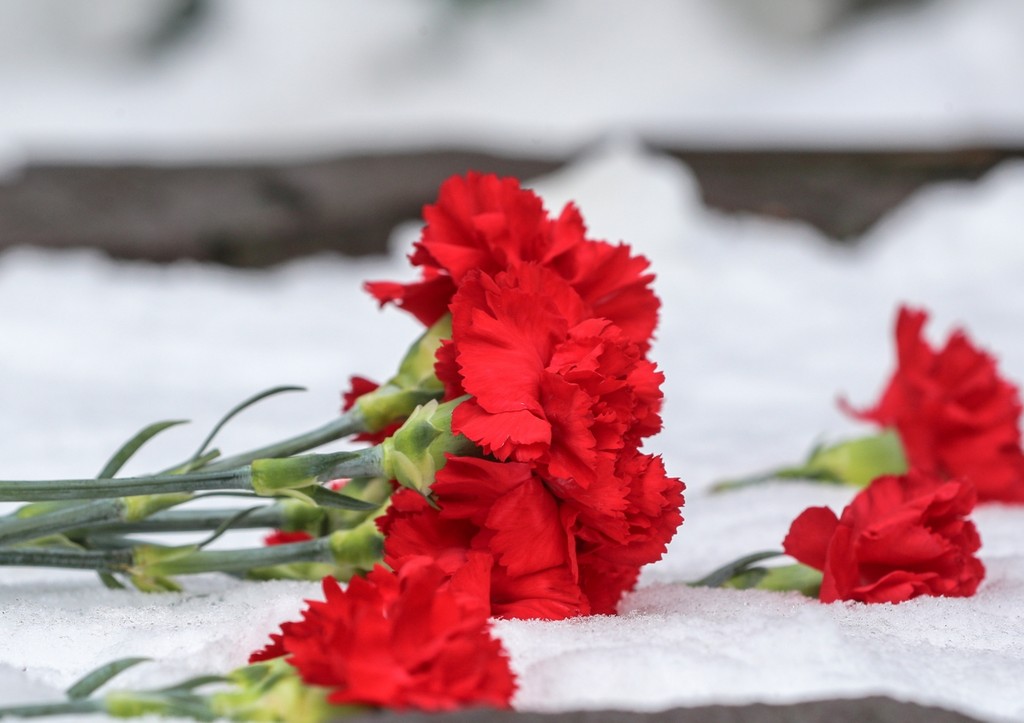 Российский журналист погиб в зоне проведения СВО