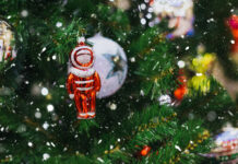 Правила безопасной перевозки новогодней елки на автомобиле c5508e6c-6677-42d7-9f32-048f44cddb08-67b8de70