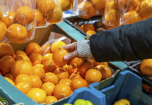 Как правильно выбирать мандарины: советы по определению качества цитрусовых d183fc66-b404-4b2a-8e17-38f93a9f60d9-67ae20d4