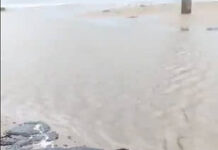 f092d6cd-20e6-4dc4-87ed-d6a39faeddcf-67b50e0a