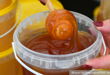 Триумф российского пчеловодства: экспорт меда достиг рекордных показателей f449c1a1-eacc-4e91-8c7e-3502c1ee4438-67b86812