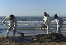 Новогодний отдых в Анапе: актуальная ситуация после экологического инцидента f87caf91-c9c1-47dd-9275-063f78d3f1f7-67c1c9bb