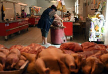 Новые тренды мясного рынка России 07dcda03-68a8-40db-95f0-3d7ae3c91736-67d7819e