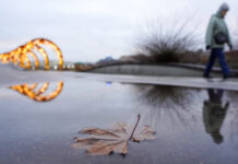 Москва встречает рекордное потепление в январе Неделя в фотографиях Агентства городских новостей Москва