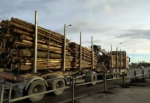 Торговое партнерство России и Индии выходит на новый уровень 1a217618-03d5-4ce7-98f6-93d4b1143d77-67dbf87b