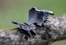 Трагедия на дороге: журналисты с гуманитарной миссией попали под удар ВСУ 1abc4220-bdd3-4cd5-a30c-fd53e5765b4a-67ccde36