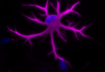1aeece08-4316-44a2-b400-c6151703afb8-67d9efec
