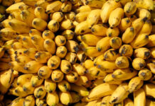 Россияне выбирают бананы любимым тропическим фруктом 25d45c31-ae18-4502-b1d6-b03cc3b3fc0a-67eeb18d