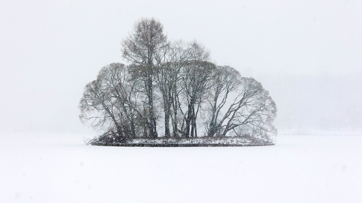 Погода во Владивостоке