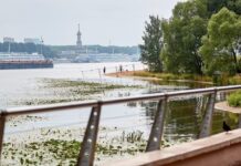 Яркие арт-животные украсили парк Северное Тушино 31e09bdc-c9f5-40ac-82dc-683d82931a25-67e3fb09