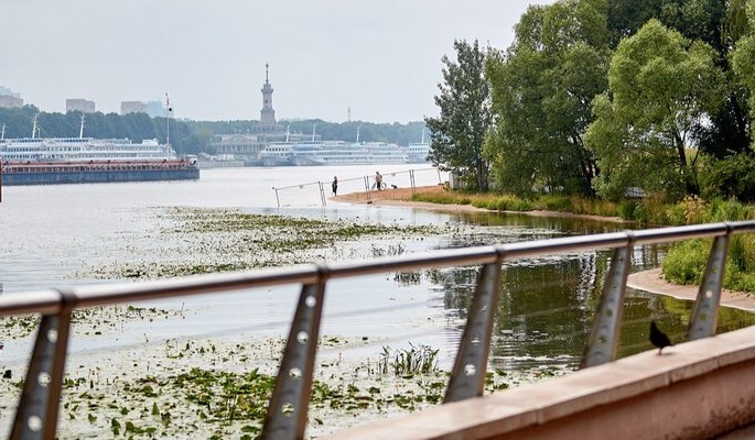 Красный медведь, синий барс и оранжевый тигр поселились в парке "Северное Тушино"