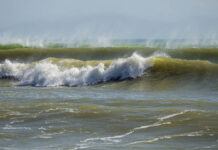 Надежда на восстановление: как защитить редкие виды рыб после исчезновения сиамского веслоноса 3c95a9e7-ed04-4035-9ed7-79a4ebe7e3c7-67c9f4b4