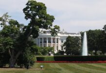 Oracle готовится принять управление глобальными операциями TikTok 4d2068eb-4d46-4bab-8984-b78739a97e3a-67e8bfb1