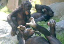 508ed6e9-7154-4bb4-a52c-36465d337cef-67dd6212