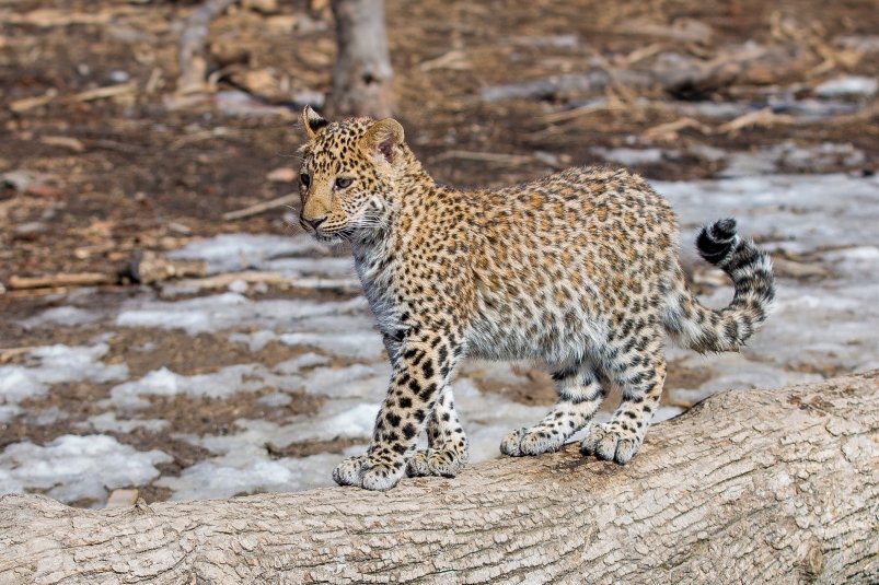 Фото: primamedia.ru