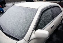 Владивосток готовится к бодрящим зимним температурам в феврале 56f150d7-d10f-451e-ad8d-e2b28aec4cd6-67f01ca7