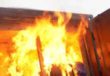 Спасательные службы мобилизовали все силы для борьбы с пожарами в Калифорнии 6545f202-767e-4a5e-acbb-eef282d6e836-67d54b6b