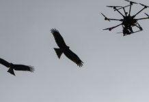 6f307fcb-f000-4dcb-8078-3b80b30a6675-67cc2f31