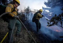 Полиция Лос-Анджелеса задержала подозреваемого по делу о лесном пожаре 9017888a-abe2-413a-9d2a-a0300cd5e598-67d43af9
