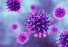 Как защитить здоровье в сезон гриппа 2025 года 93599203-9d7c-47c8-ba18-02f931c4adef-67e24300