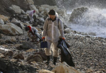 abce7c4d-c0e5-4311-8732-e0aeeb44d9ae-67d5e8e4