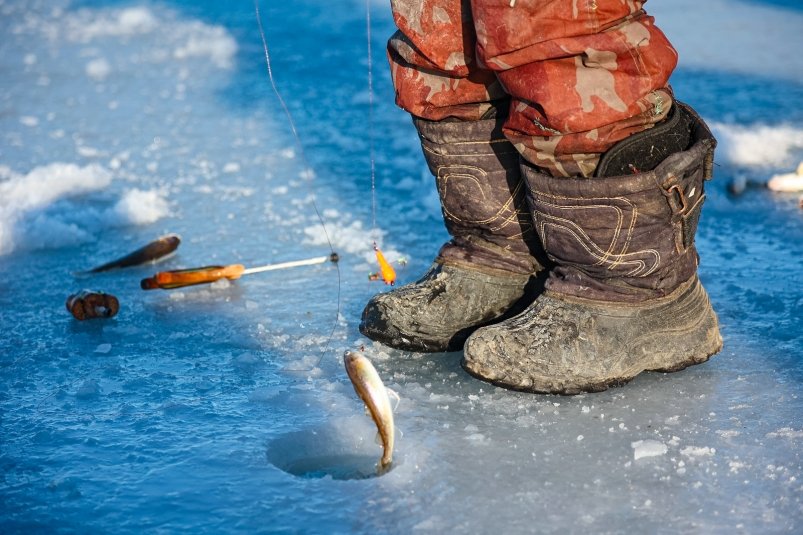 Фото: primamedia.ru