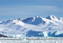 Дания укрепляет международные связи в вопросе суверенитета Гренландии fef9cd68-b368-4676-b20f-18e18e298120-67ed5984