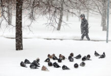 В Москве наступает долгожданная зимняя погода с легким снегом Снежная погода в Москве 7 февраля
