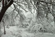 МЧС информирует уральцев о подготовке к снегопадам 16 февраля 21389218-ccd8-4035-93ec-008ad425b146-6803afbc