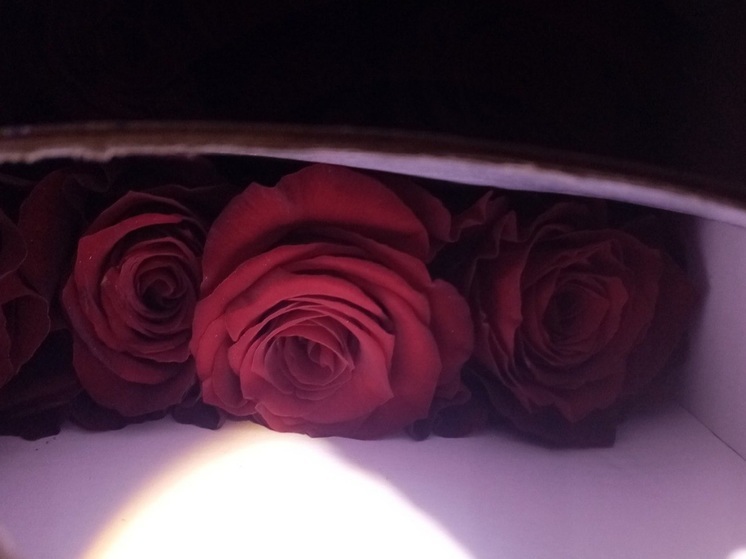 В Курганскую область не пустили 8 тонн китайских цветов