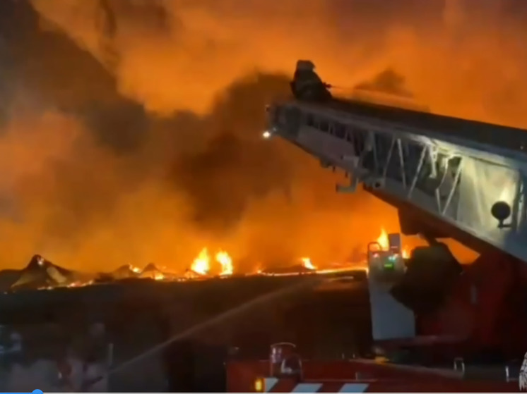 Крупный пожар произошел в магазине автозапчастей в Екатеринбурге