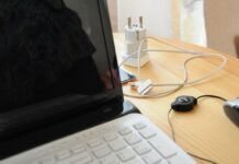 Временные изменения в телевещании Свердловской области a15ed08e-6602-4a03-ac6f-b6a377677aa9-6804f489