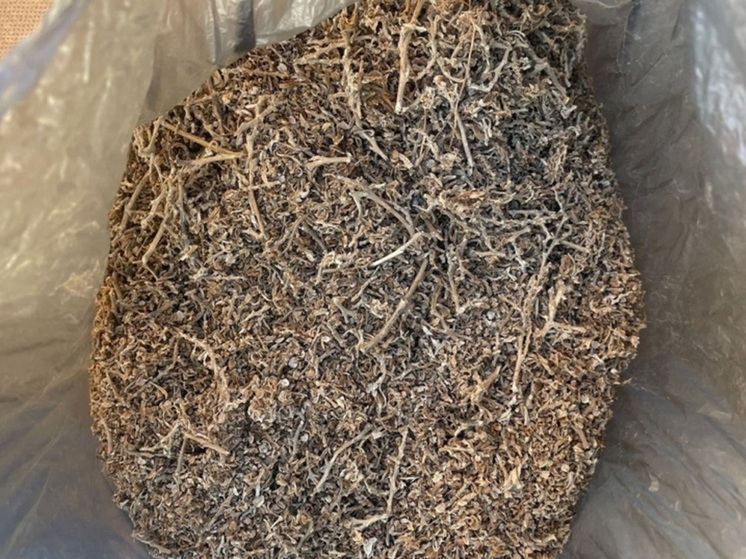 37-летнего курганца подозревают в сбыте каннабиса