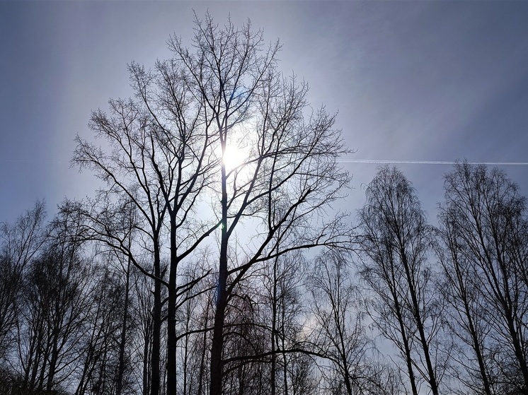 Свердловчан ждет умеренно теплая неделя