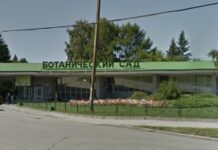 Ботанический сад Екатеринбурга приглашает гостей в выходные дни botanicheskij sad ekaterinburga priglashaet gostej v vyhodnye dni-uralnovosti-ru-174062762500-0