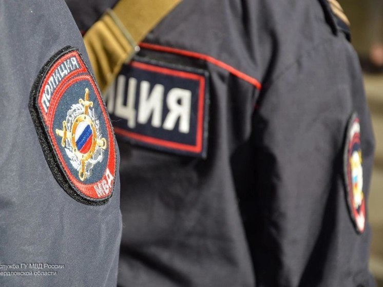 В Артинском районе пермяк получил приговор за нападение на полицейских