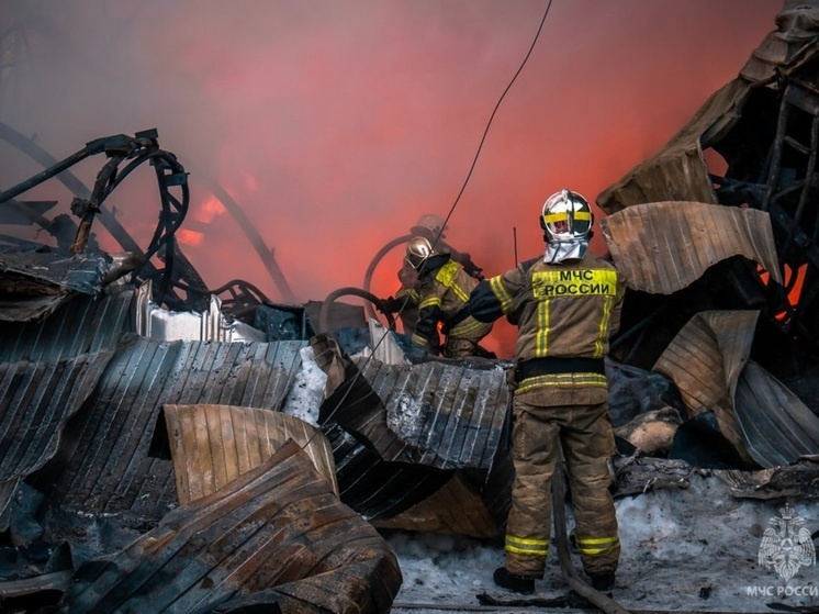Ликвидирован крупный пожар в ангаре под Екатеринбургом