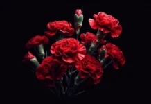 Гвардии ефрейтор из Каменска-Уральского отдал жизнь за освобождение Донбасса d4c323cb-cc0f-4a0f-845f-ac7c76d50eac-67fd5c06