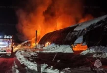 Пожар на лесопилке в Серове f877ed09-c3cf-4d7f-a268-0fefa84ba7d4-680910c6