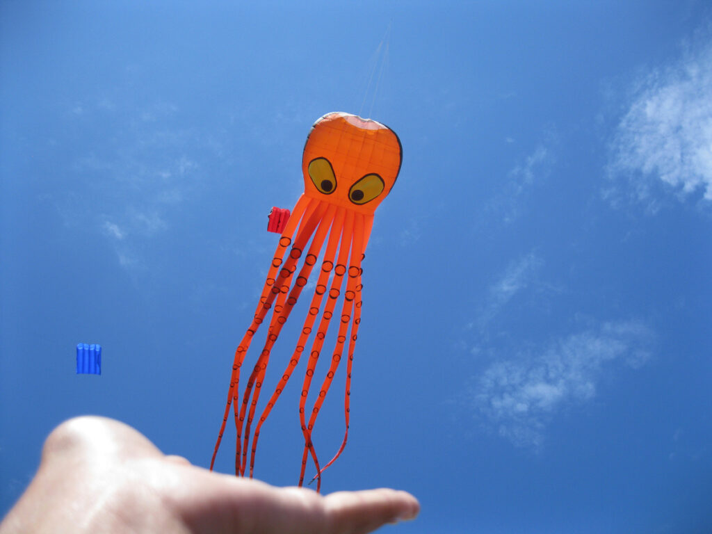 игрушечный кальмар на фоне неба