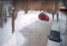 Уральцы выступают за справедливость в обращении с бездомными животными uralczy vystupayut za spravedlivost v obrashhenii s bezdomnymi zhivotnymi-uralnovosti-ru-174058088700-0