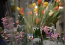 Весенний цветочный бум на Урале к 8 Марта vesennij czvetochnyj bum na urale k 8 marta-uralnovosti-ru-174041591700-0