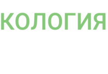 Зеленое будущее Свердловских лесов: 190 тысяч гектаров новых насаждений zelenoe budushhee sverdlovskih lesov 190 tysyach gektarov novyh nasazhdenij-uralnovosti-ru-174013754800-0