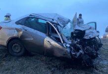 Безопасность на дорогах Курганской области важные уроки для водителей Щучанского округа bezopasnost na dorogah kurganskoj oblasti vazhnye uroki dlya voditelej shhuchanskogo okruga-uralnovosti-ru-174265658700-0