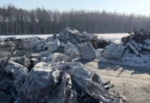 ekologi presekli nezakonnyj vybros musora v shartashskom lesoparke-uralnovosti-ru-174107643400-0